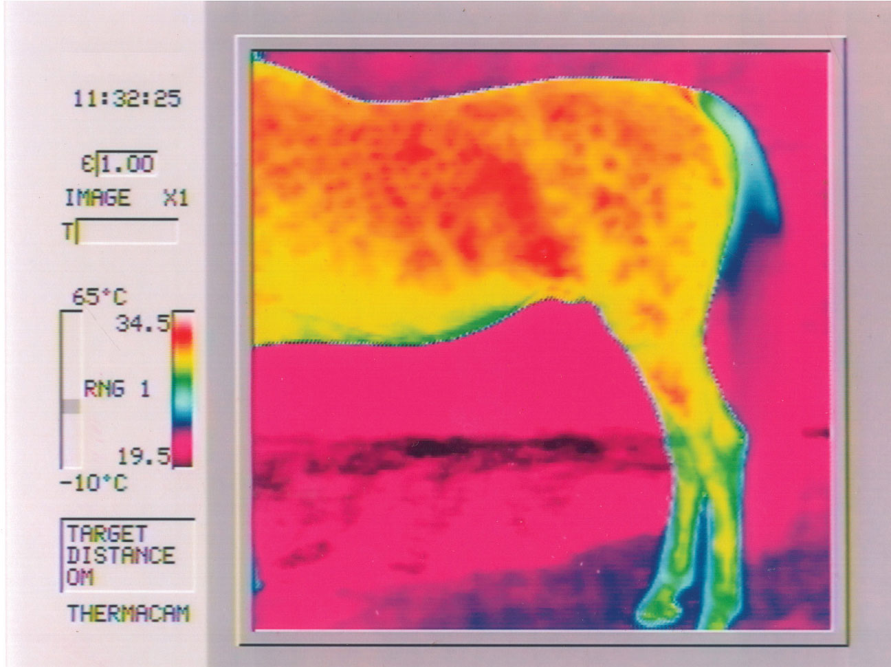Mirotec temperature rise